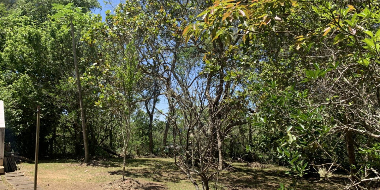 Imagem Chácara com 1 Quarto à Venda, 2.045 m² em Centro  - Santa Isabel