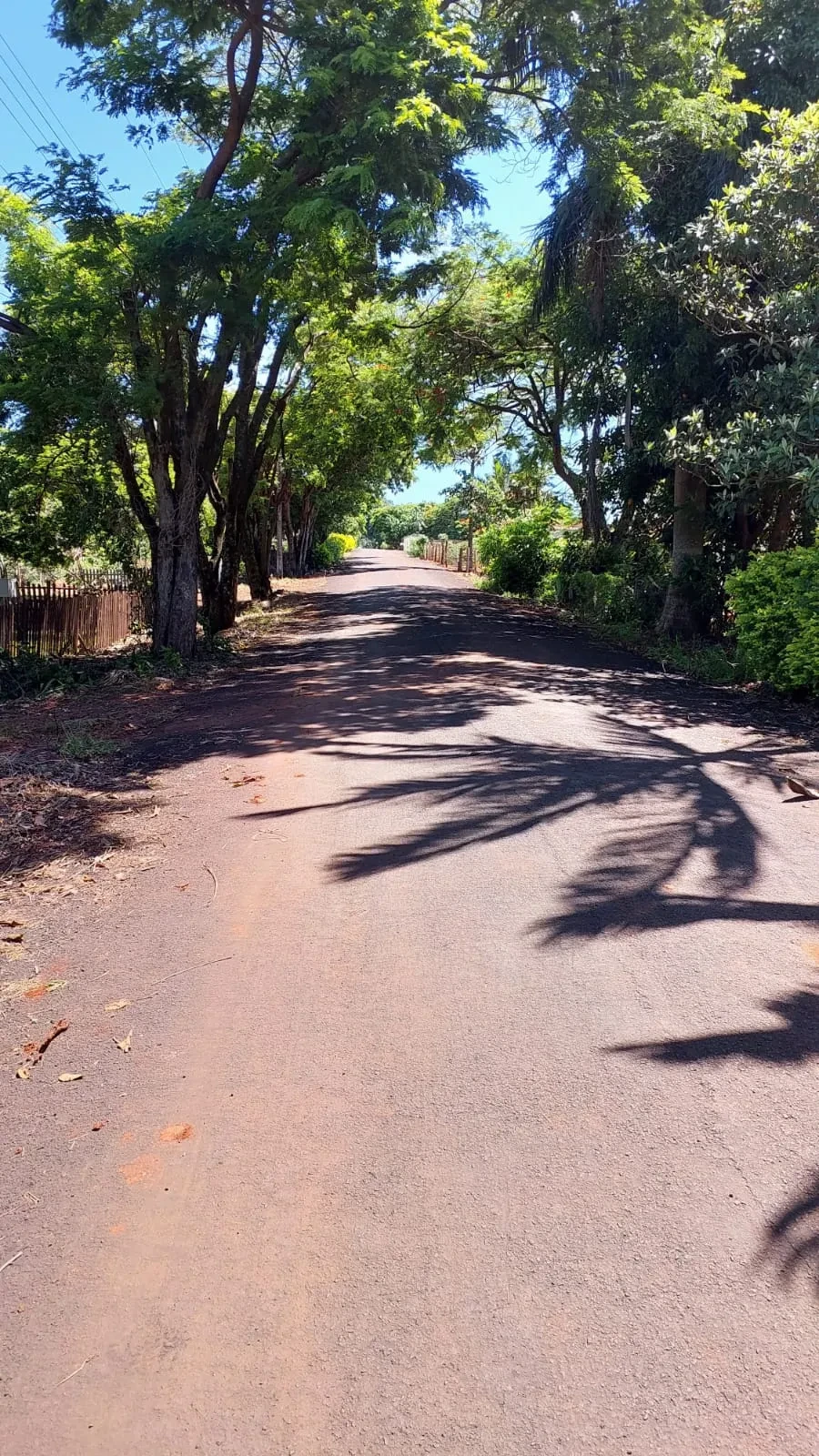 Imagem Chácara com 2 Quartos à Venda ou Locação, 90 m² em Pitangueiras - Pitangueiras