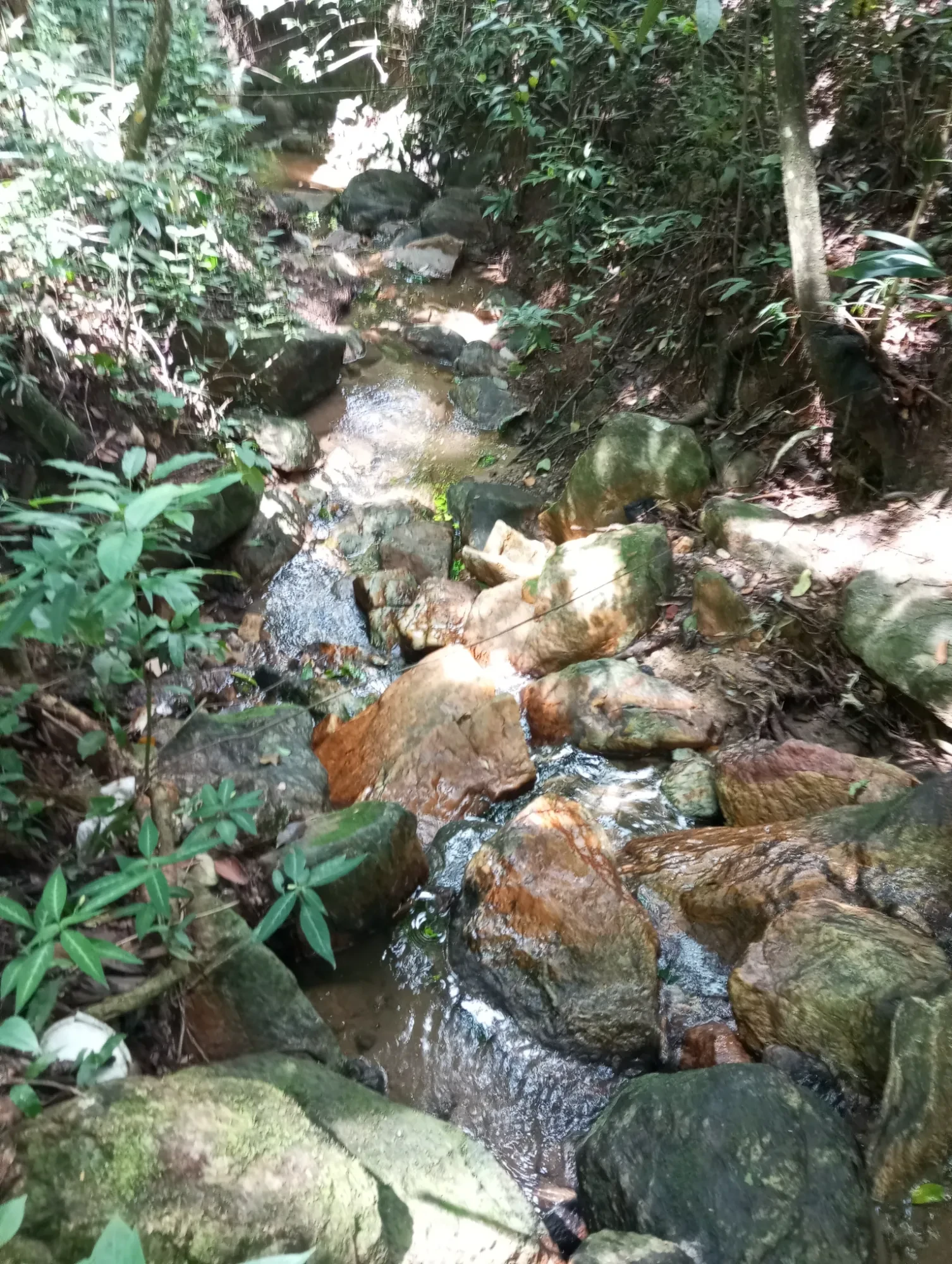 Foto do imóvel: Terreno em Condomínio à Venda, 21300 m² em Ravenópolis (Ravena) - Sabará