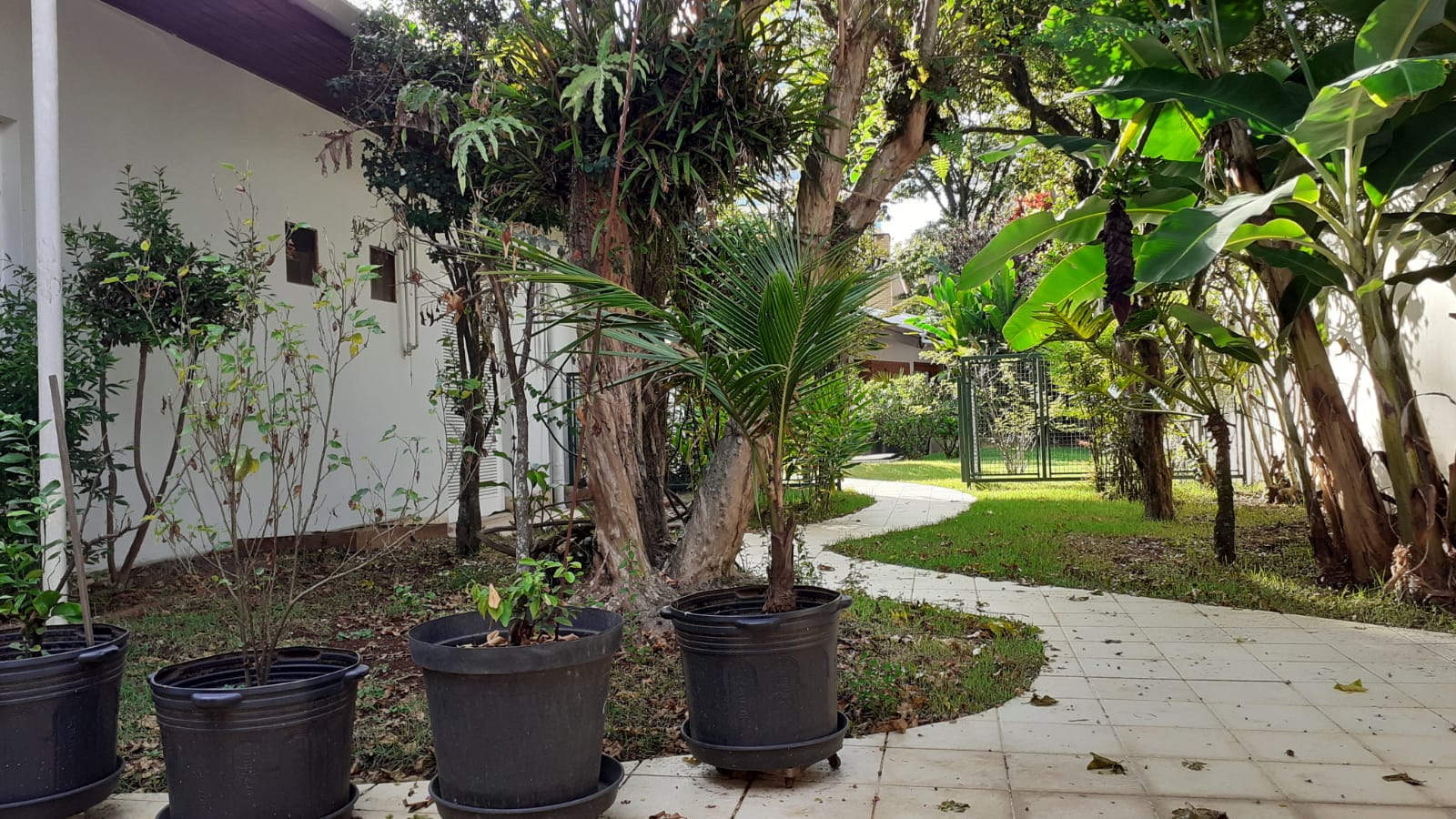 Imagem Casa com 6 Quartos à Venda, 480 m² em Campo Belo - São Paulo