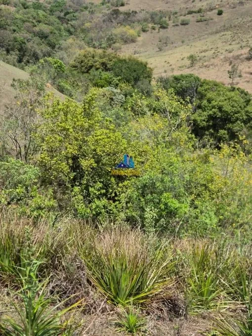 Imagem Chácara à Venda, 1666 m² em Capela Velha - Santana de Parnaíba