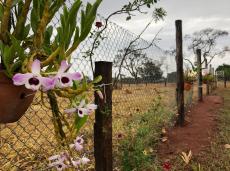 Chácara com 3 Quartos à Venda, 37 m²em Saraiva - Uberlândia