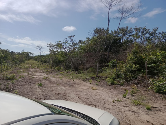 Imagem Terreno à Venda, 44.200 m² em Centro - Santarém