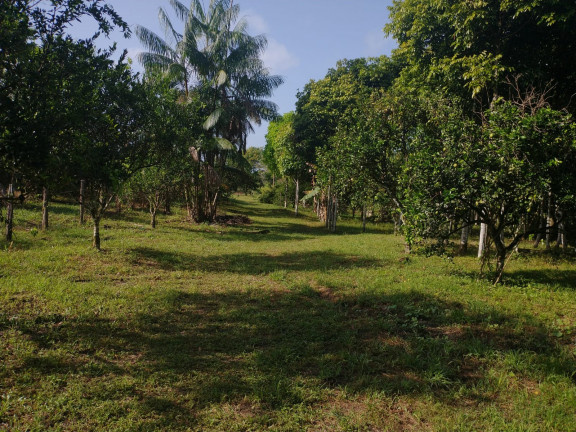 Imagem Chácara à Venda, 1 m² em Centro - Santa Isabel do Pará