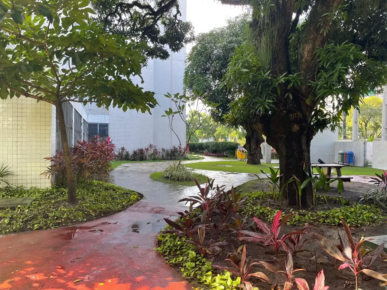 Imagem Apartamento com 2 Quartos à Venda, 55 metro em Caxangá - Recife