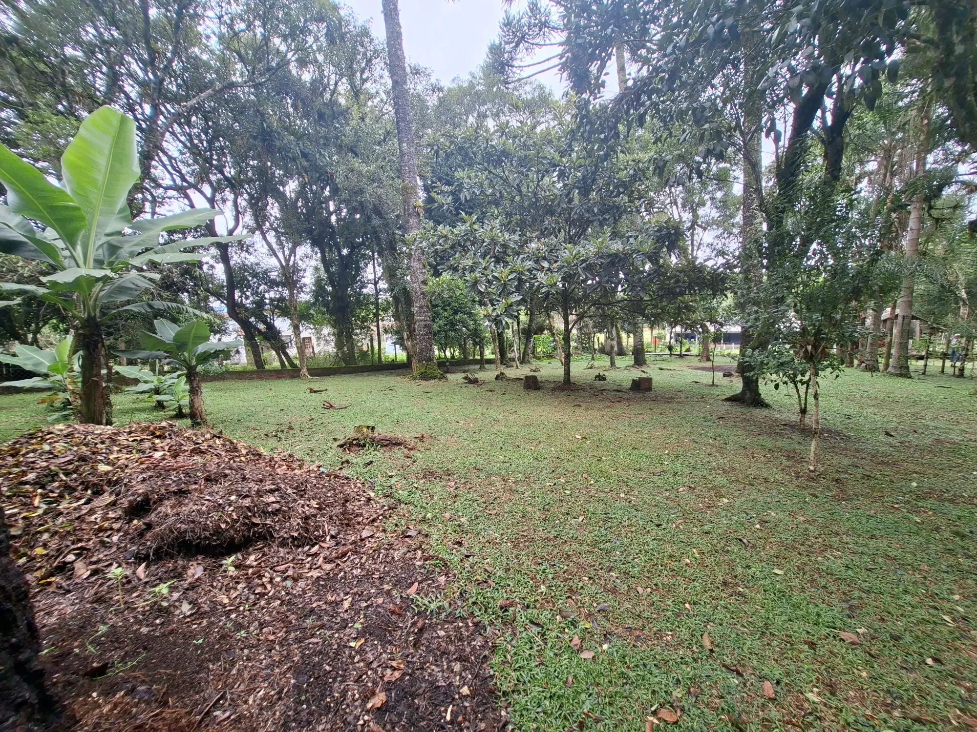 Imagem Chácara com 2 Quartos à Venda, 80 m² em Campo Alto - Tijucas do Sul