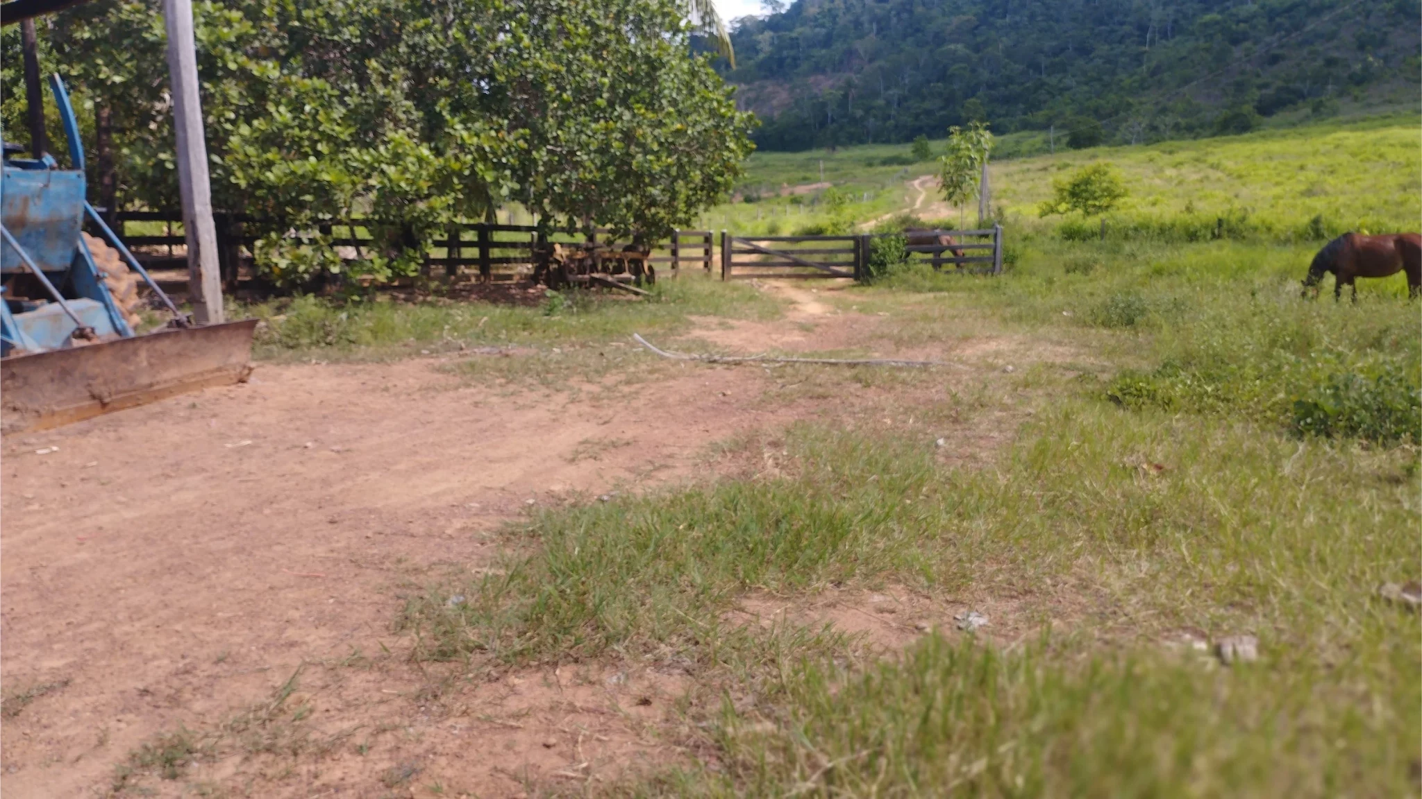 Foto do imóvel: Fazenda à Venda, 58 Alq. GO em São Félix do Xingu - São Félix do Xingu