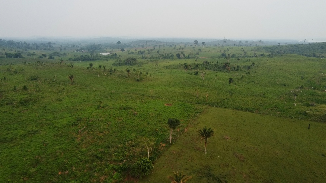 Foto do imóvel: Fazenda à Venda, 1 m²em Centro  - São Félix do Xingu