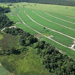 Imagem Fazenda à Venda, 100 m²em ZONA RURAL - São Miguel do Araguaia