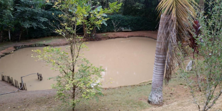 Imagem Chácara com 3 Quartos à Venda, 2.920 m² em Centro - Santa Isabel