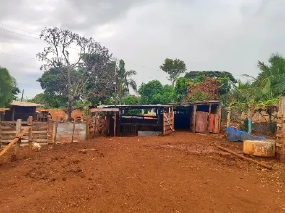 Imagem Chácara com 2 Quartos à Venda, 5000 metros em Pitangueiras - Pitangueiras