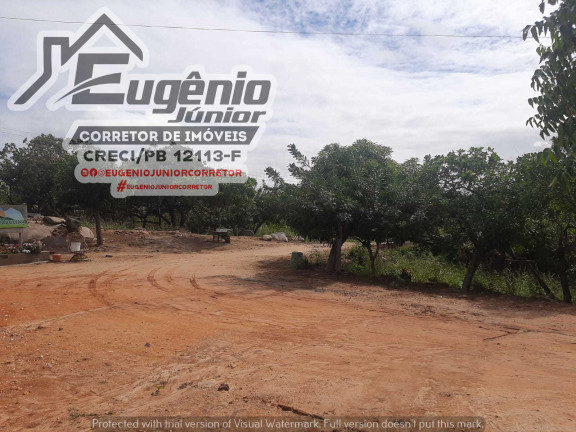 Imagem Chácara com 2 Quartos à Venda, 1.600 m² em Zona Rural - São José de Piranhas