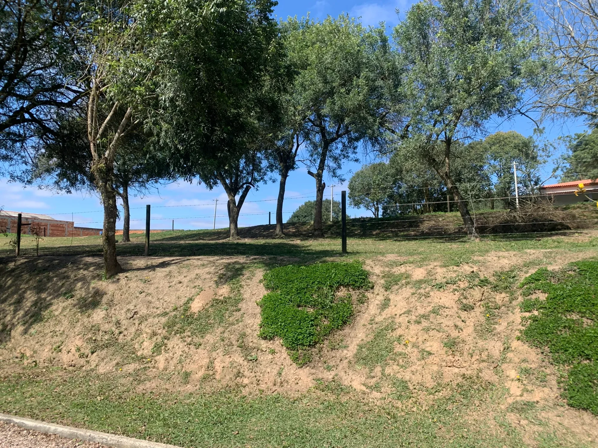Foto do imóvel: Chácara com 3 Quartos à Venda, 5000 m² em Colonia Marcelino - São José dos Pinhais