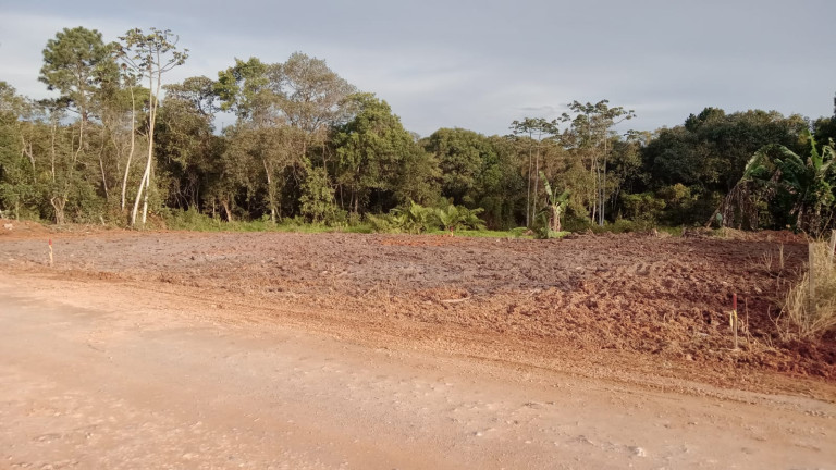 Imagem Terreno à Venda, 286 m² em ITACOLOMI  - Balneário Piçarras