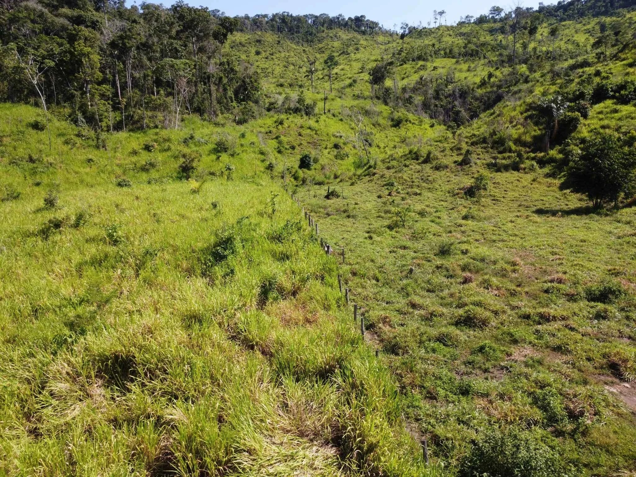 Foto do imóvel: Fazenda à Venda, 90 Alq. GO em São Félix do Xingu - São Félix do Xingu
