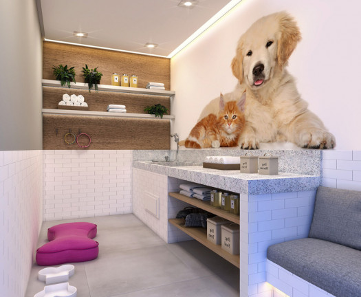 Imagem Apartamento com 1 Quarto à Venda, 27 m² em Jardim da Glória - São Paulo