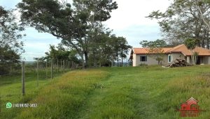 Imagem Fazenda à Venda, 74 Alq SPem ZONA RURAL - Garça