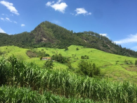 Imagem Fazenda à Venda, 20.000 m² em Vila Pontilhão - Cruzeiro