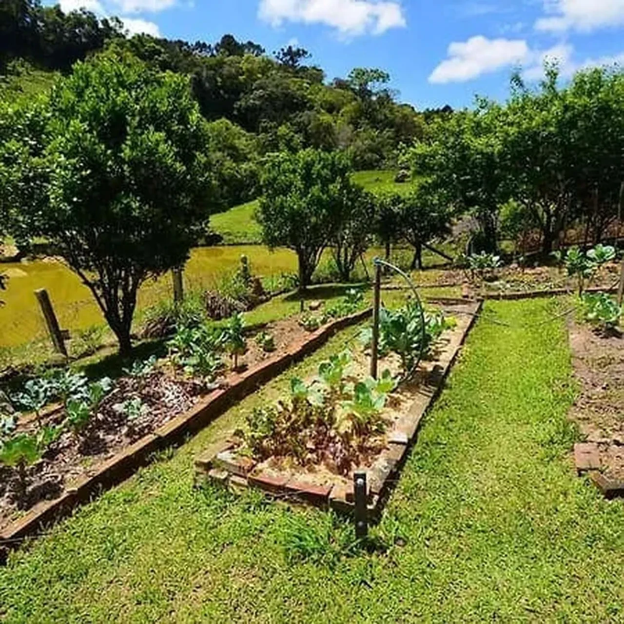 Imagem Chácara com 9 Quartos à Venda ou Temporada, 800 m² em Alfredo Wagner - Alfredo Wagner