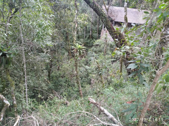 Imagem Terreno à Venda, 1.052 m² em Colinas do Imbiri - Campos do Jordão