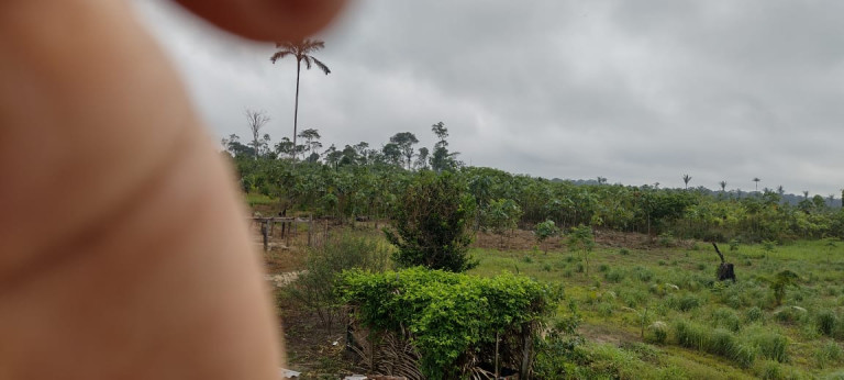 Terreno à Venda, 2.000 m² em Zona Rural - Humaitá