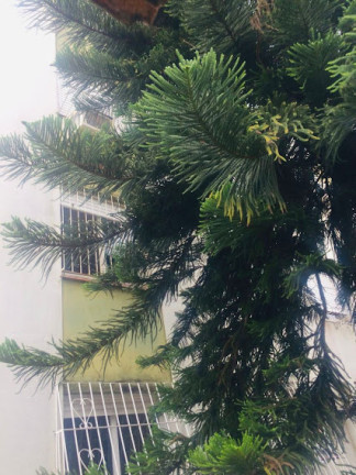Apartamento com 1 Quarto à Venda, 49 m² em Jardim Leopoldina - Porto Alegre