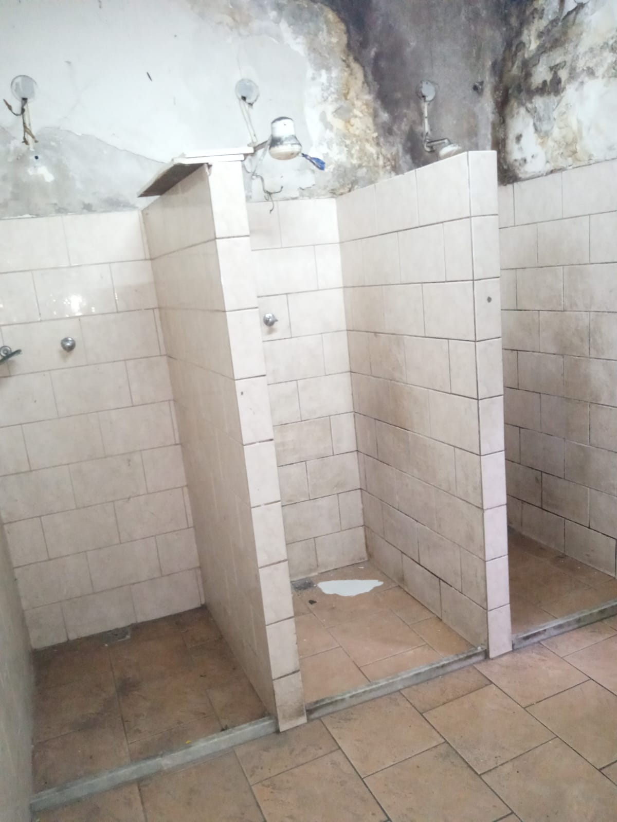 Imagem Galpão à Venda ou Locação, 588 m²em Vila Isabel - Rio de Janeiro