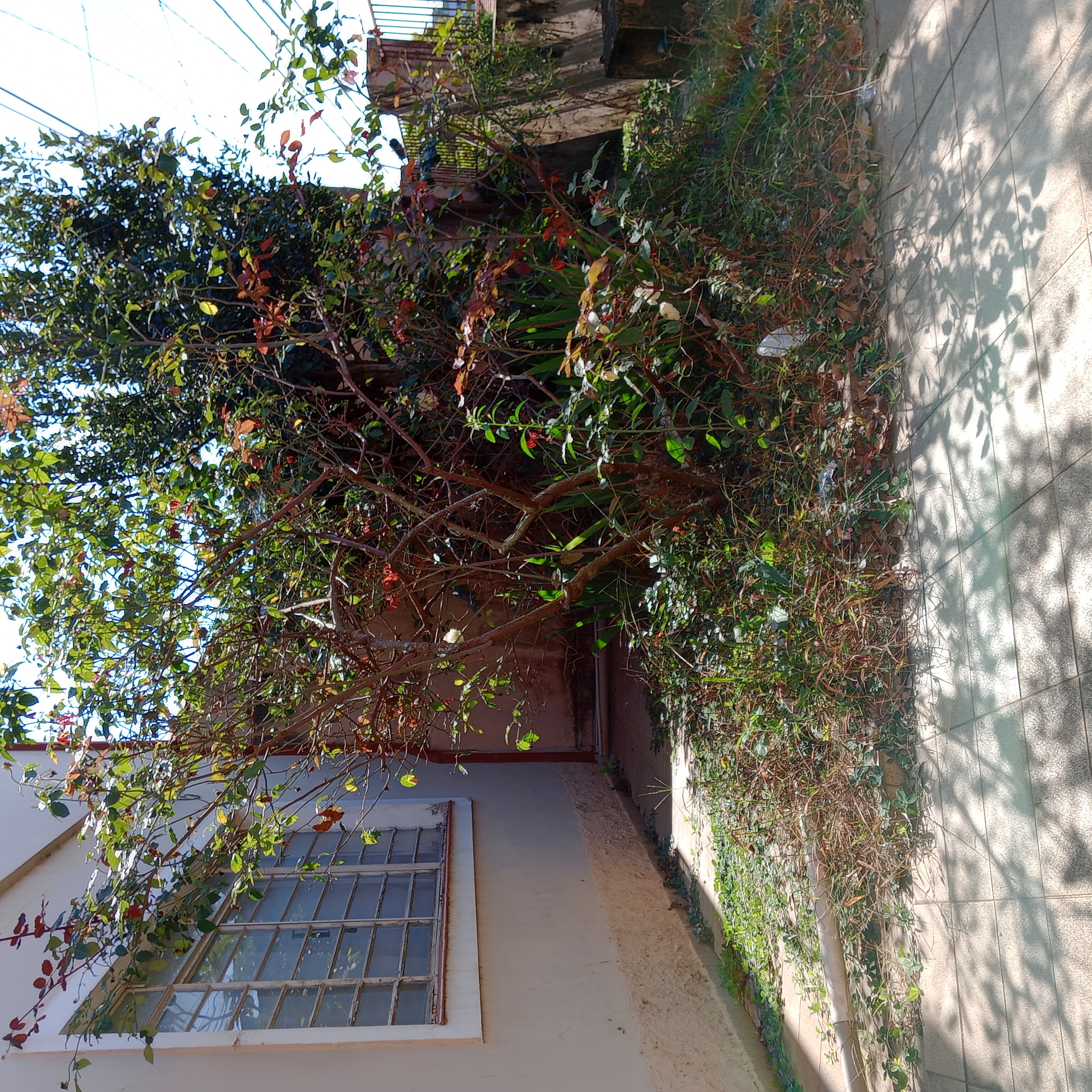 Imagem Casa com 2 Quartos à Venda, 126 m² em Parque Alves de Lima - São Paulo