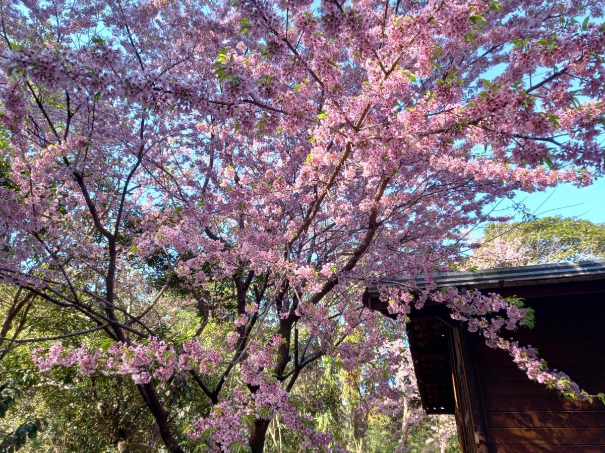Foto do imóvel: Casa com 8 Quartos à Venda, 423 m² em Estância Serrana - Nova Lima