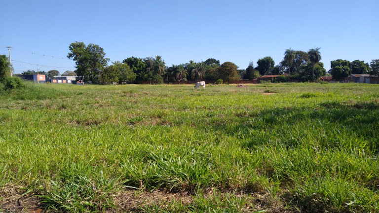 Imagem Terreno à Venda, 5.000 m² em Chácaras TV - Araçatuba