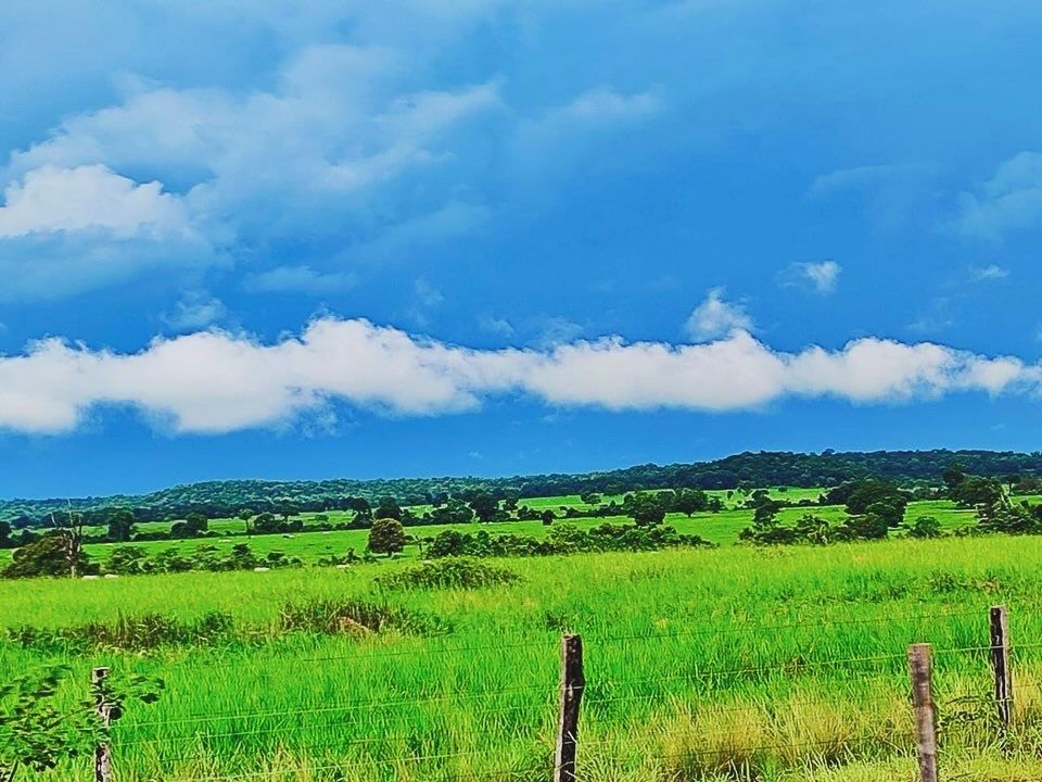 Imagem Fazenda à Venda, 1115 m² em ZONA RURAL - Mundo Novo