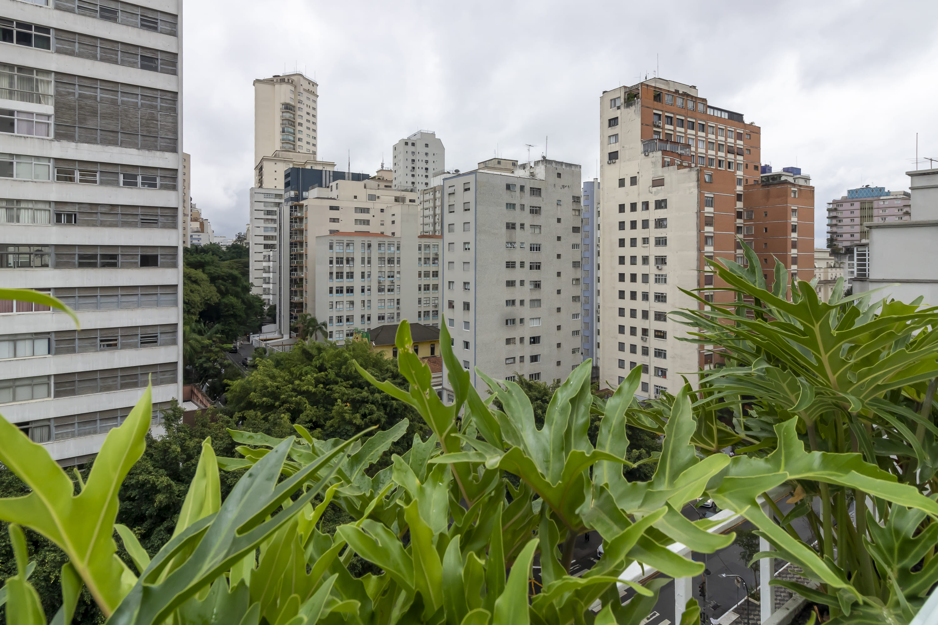 Imagem Apartamento com 3 Quartos à Venda, 239 m²em Higienópolis - São Paulo