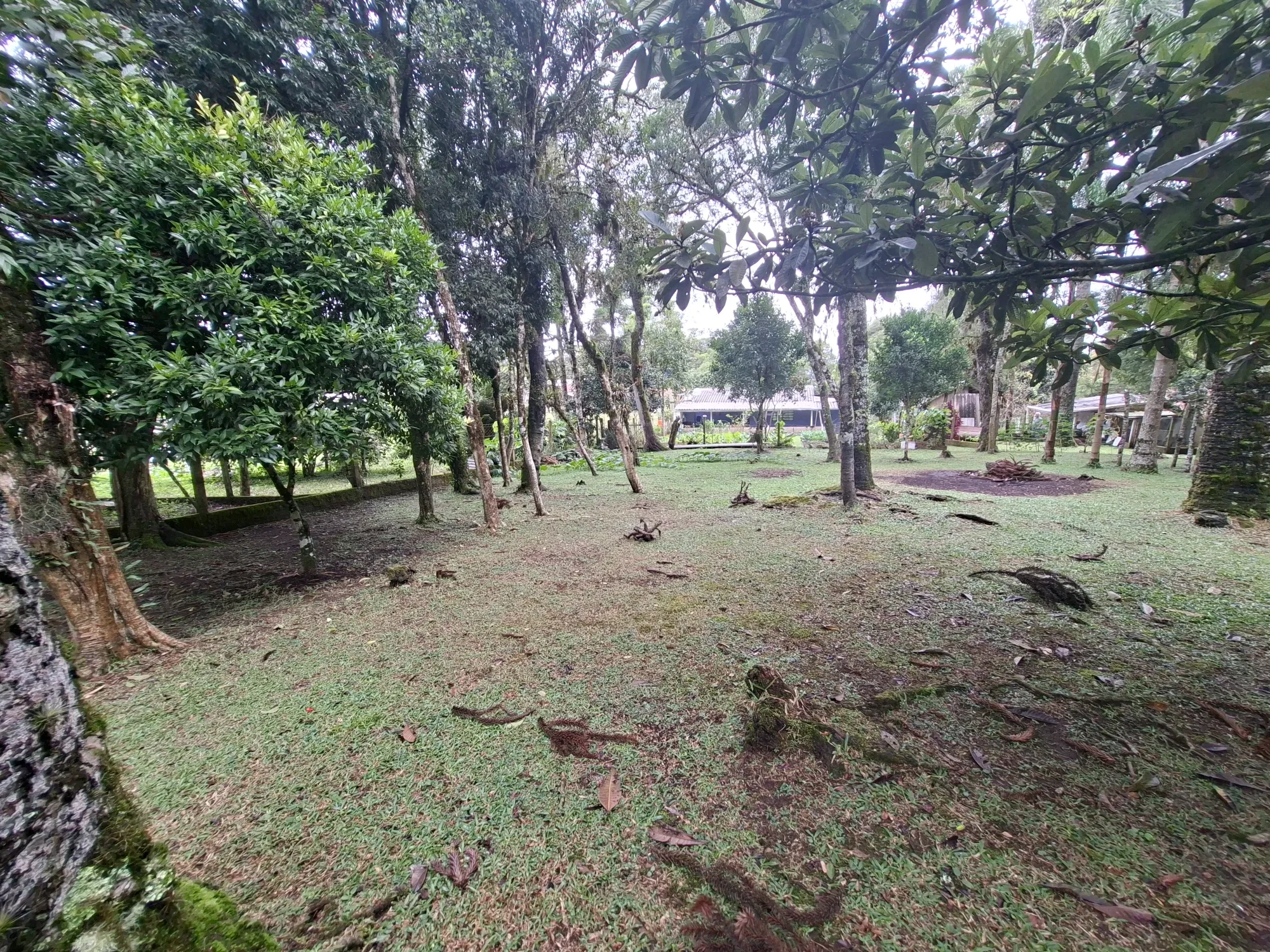 Imagem Chácara com 2 Quartos à Venda, 80 m² em Campo Alto - Tijucas do Sul