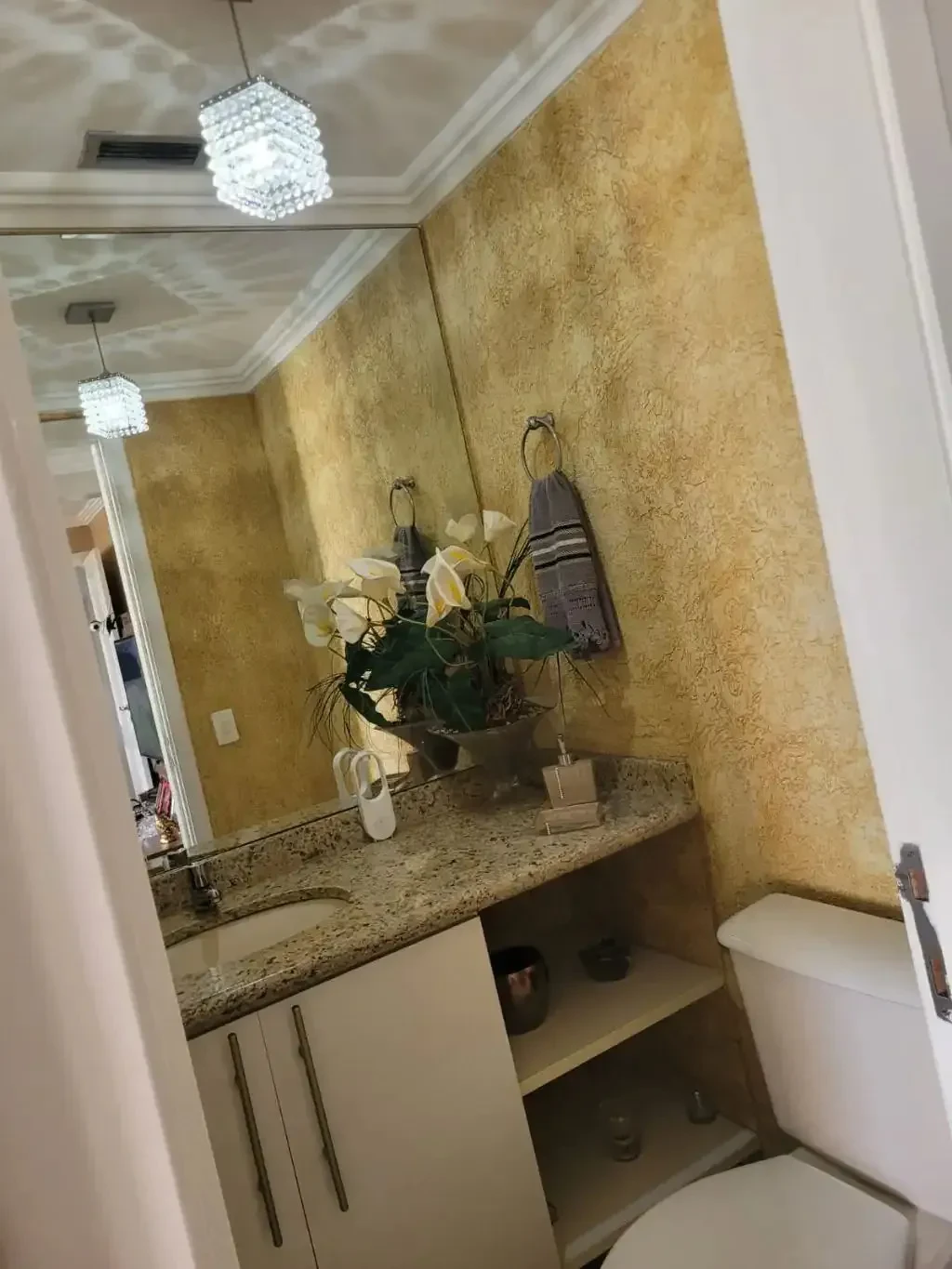 Imagem Apartamento com 3 Quartos à Venda, 180 m² em Jardim dos Oliveiras - Campinas