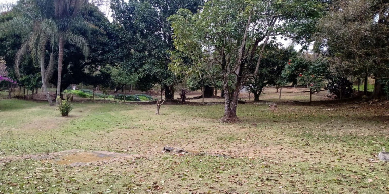 Imagem Chácara com 12 Quartos à Venda,  em Centro - Santa Isabel