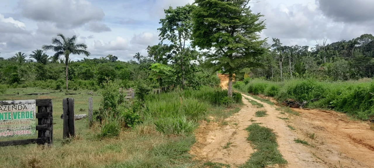 Imagem Fazenda à Venda, 560 HA em Canutama - Canutama