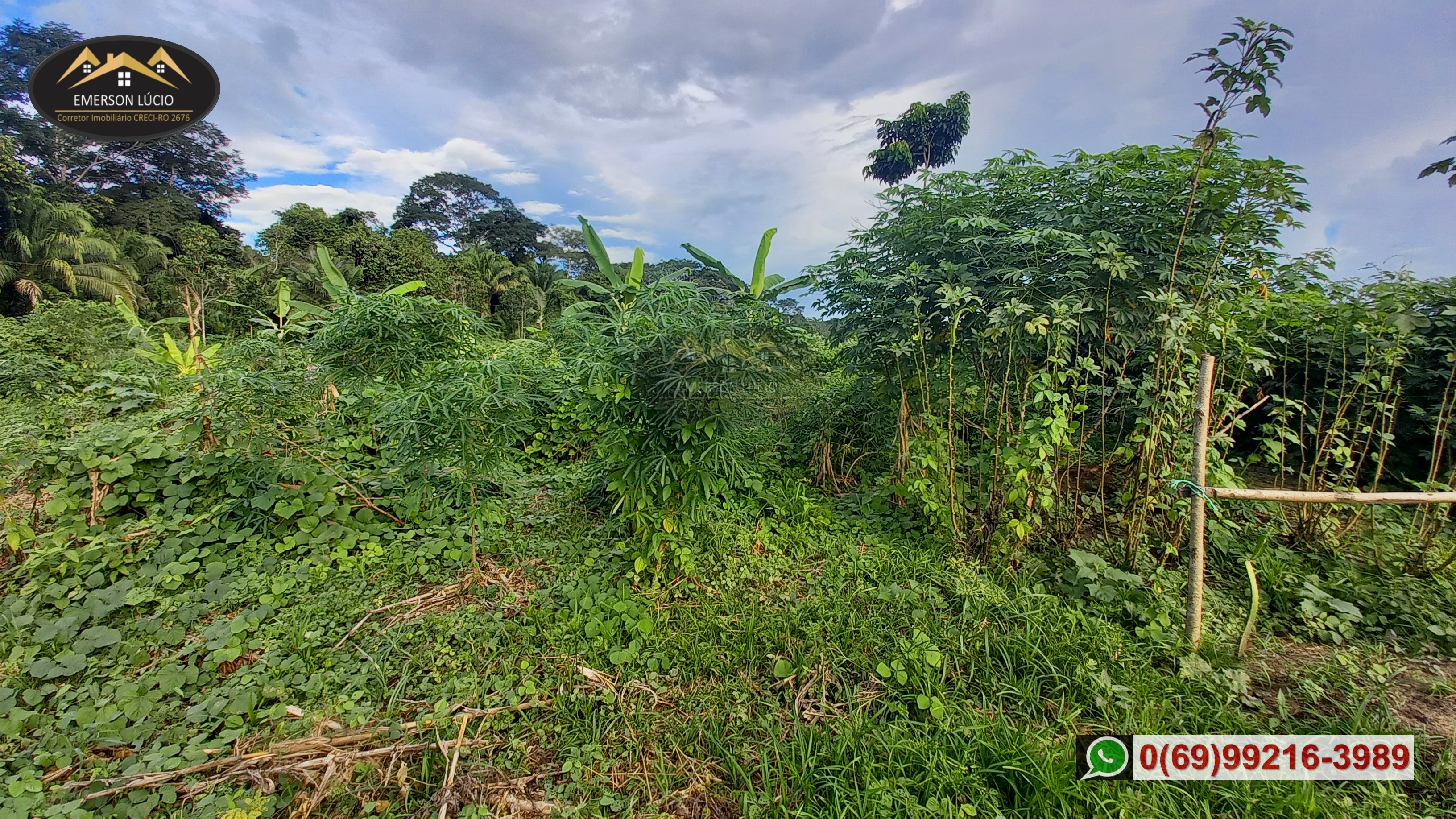 Imagem Fazenda à Venda, 50 HAem Rio Madeira - Porto Velho