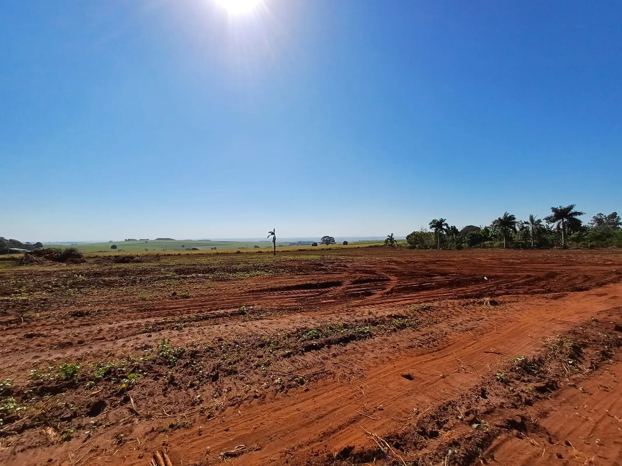 Imagem Chácara à Venda, 4000 m² em Pitangueiras - Pitangueiras