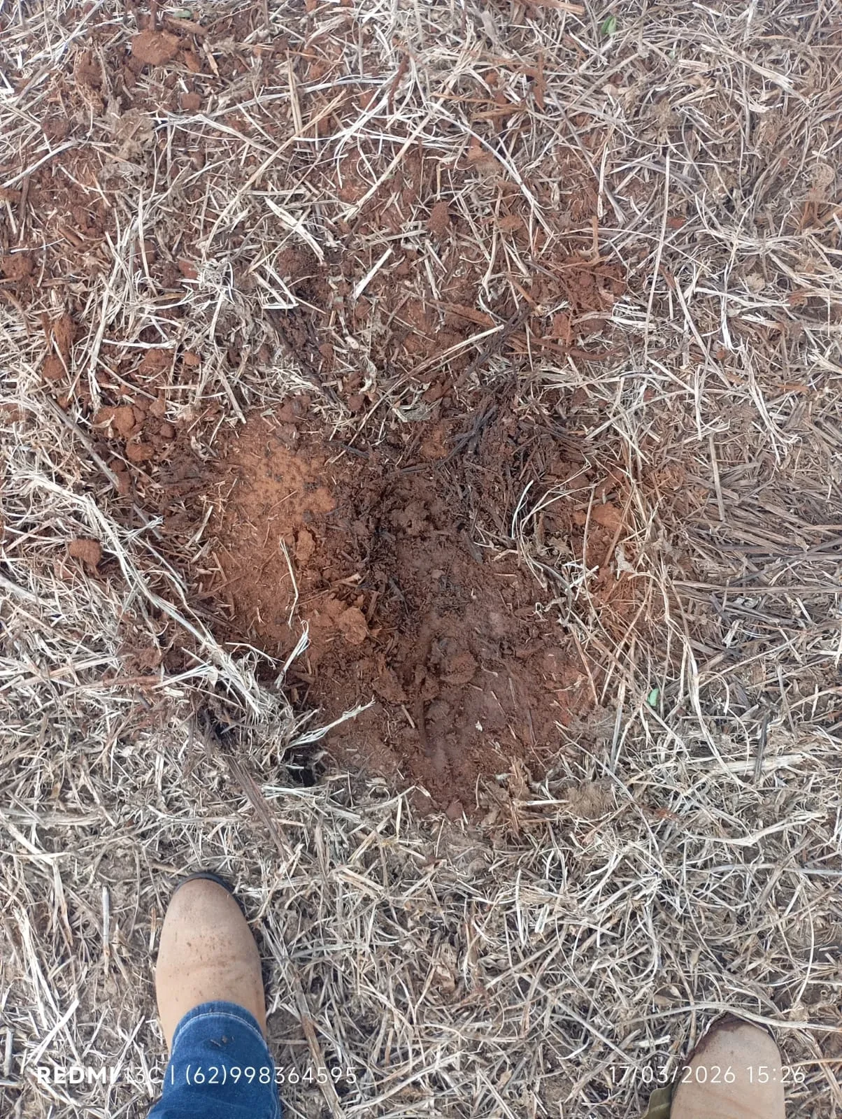 Imagem Fazenda à Venda, 50 Alq. GO em Montividiu - Montividiu