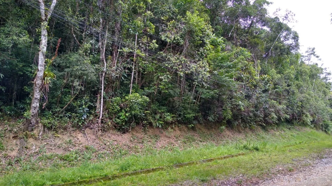 Imagem Terreno à Venda, 2.000 m² em Dos Borges - Embu-Guaçu