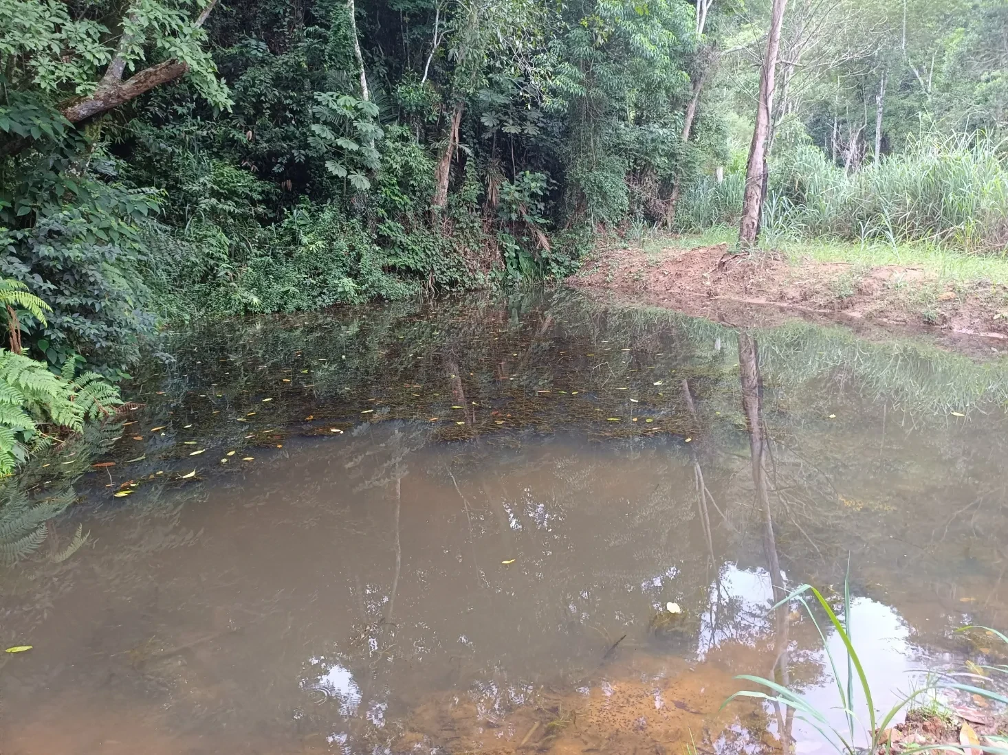 Imagem Chácara à Venda, 20000 metros em Santa Leopoldina - Santa Leopoldina