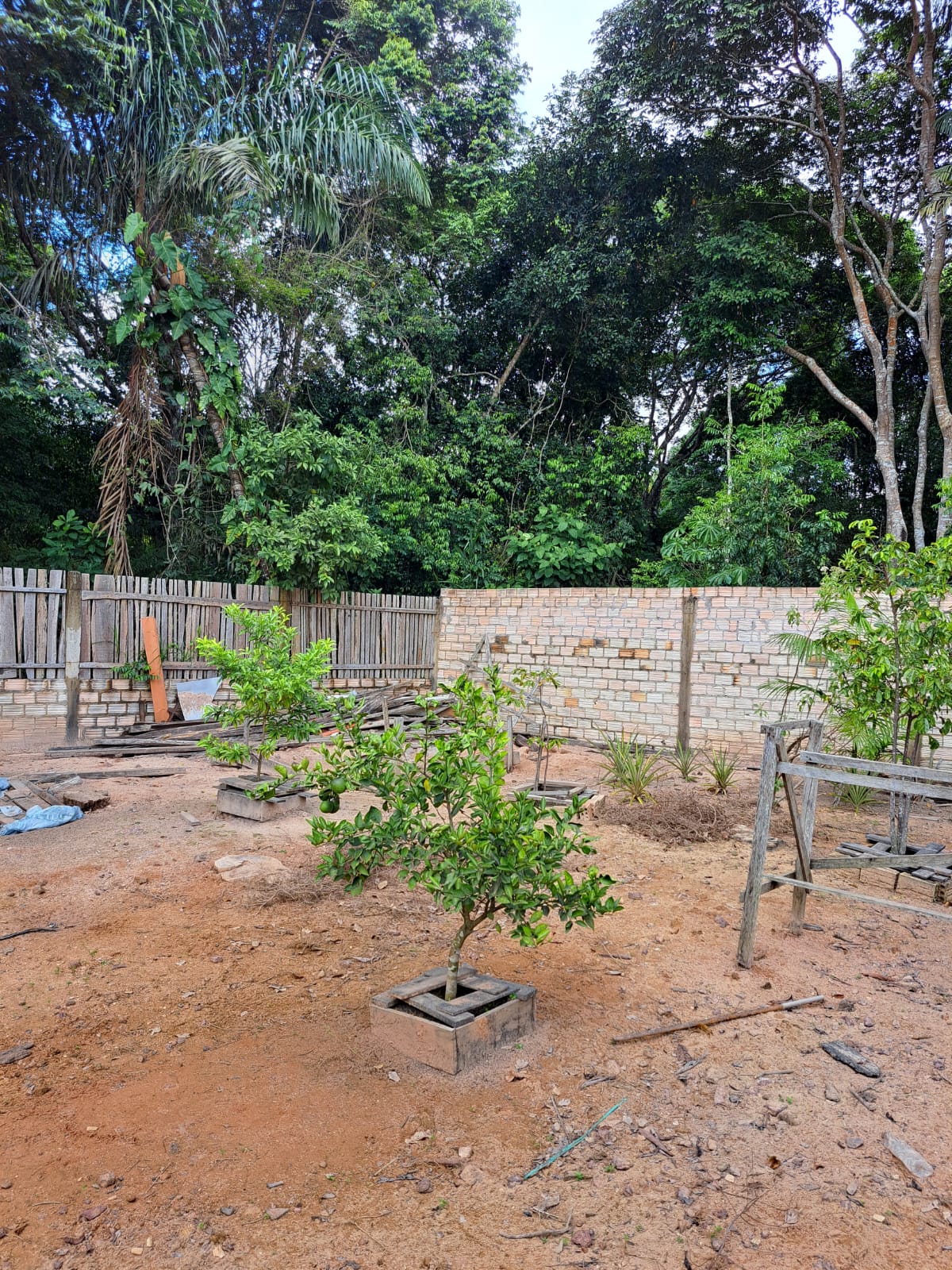 Imagem Chácara com 3 Quartos à Venda ou Temporada, 7 m²em Matinha - Santarém