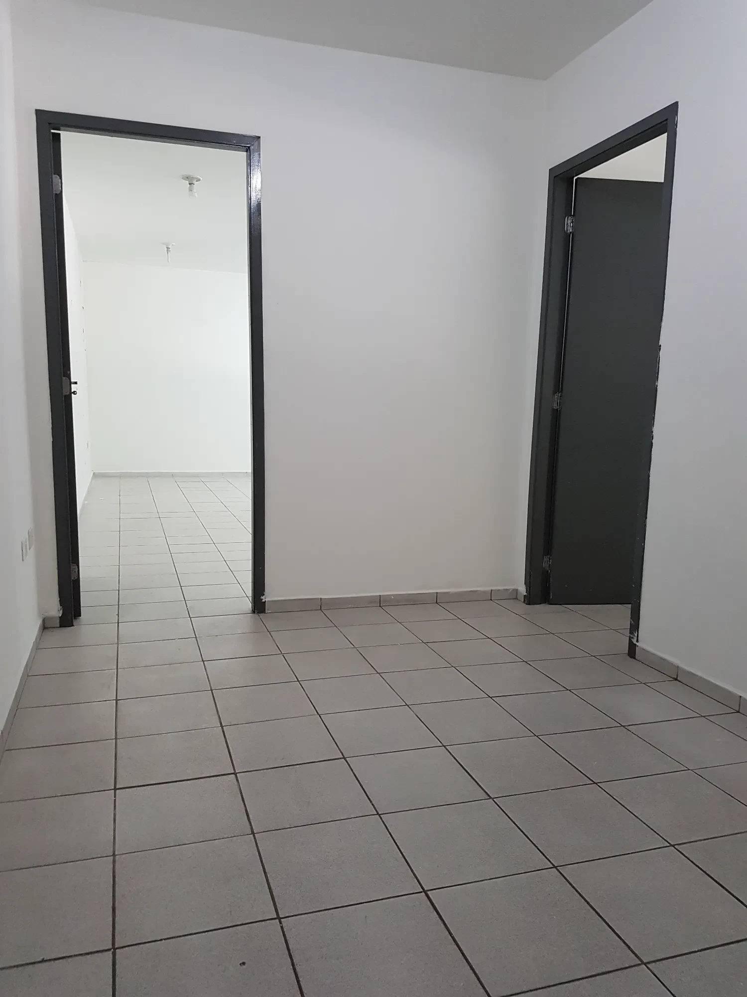 Imagem Galpão para Alugar, 450 m² em Vila Ribeiro de Barros - São Paulo