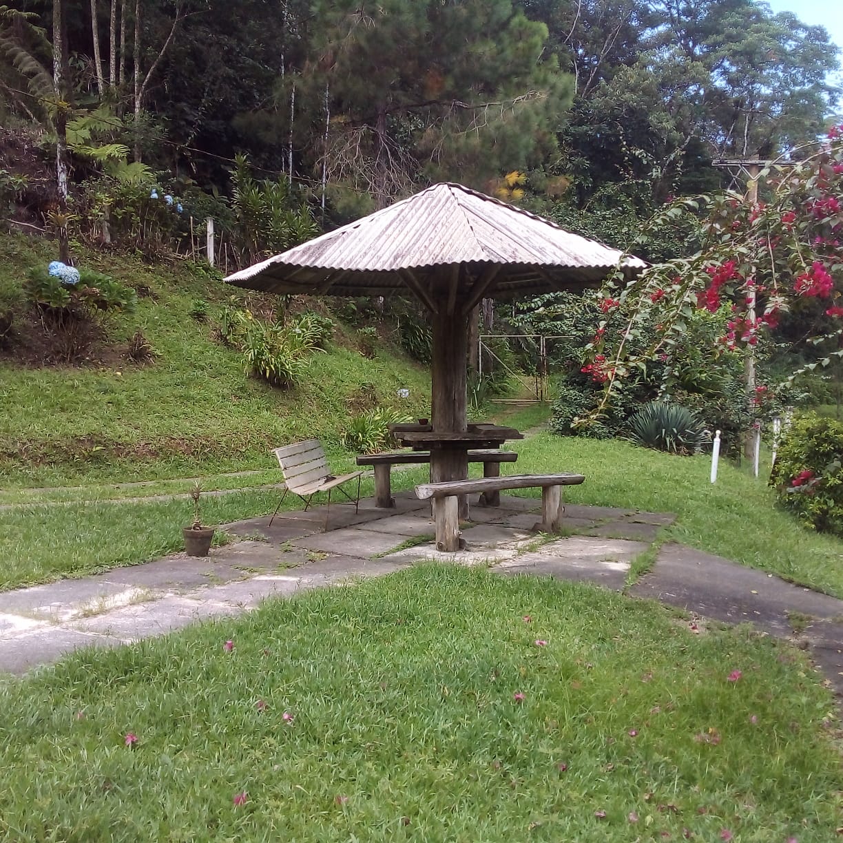 Imagem Chácara com 5 Quartos à Venda, 30 m² em Ribeirão do Ouro - Tapiraí