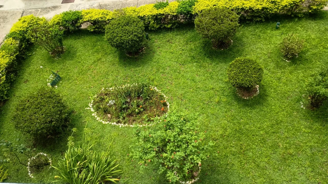 Foto do imóvel: Apartamento com 3 Quartos à Venda, 56 m² em Conjunto Residencial José Bonifácio - São Paulo