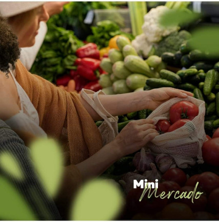 Imagem Imóvel Comercial à Venda, 403 m² em Complexo Comercial Portal Green Park  - Mineiros 