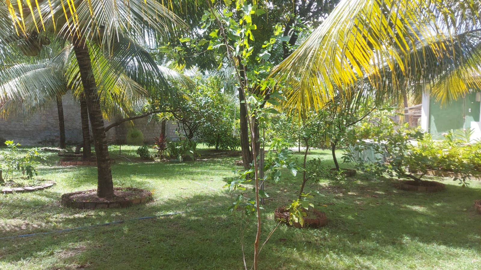 Imagem Casa com 4 Quartos à Venda, 450 m² em Fragoso - Olinda