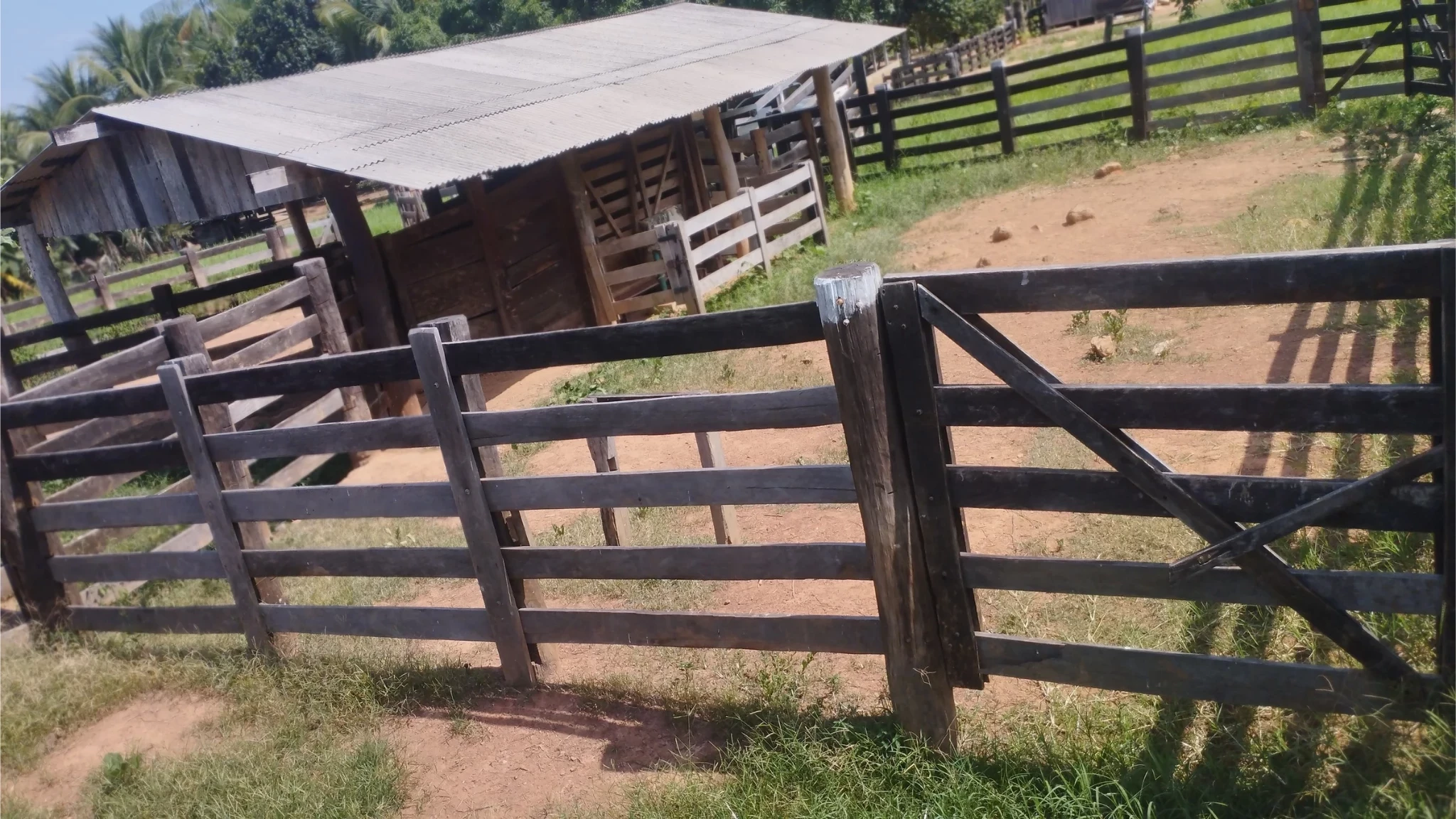 Foto do imóvel: Fazenda à Venda, 58 Alq. GO em São Félix do Xingu - São Félix do Xingu