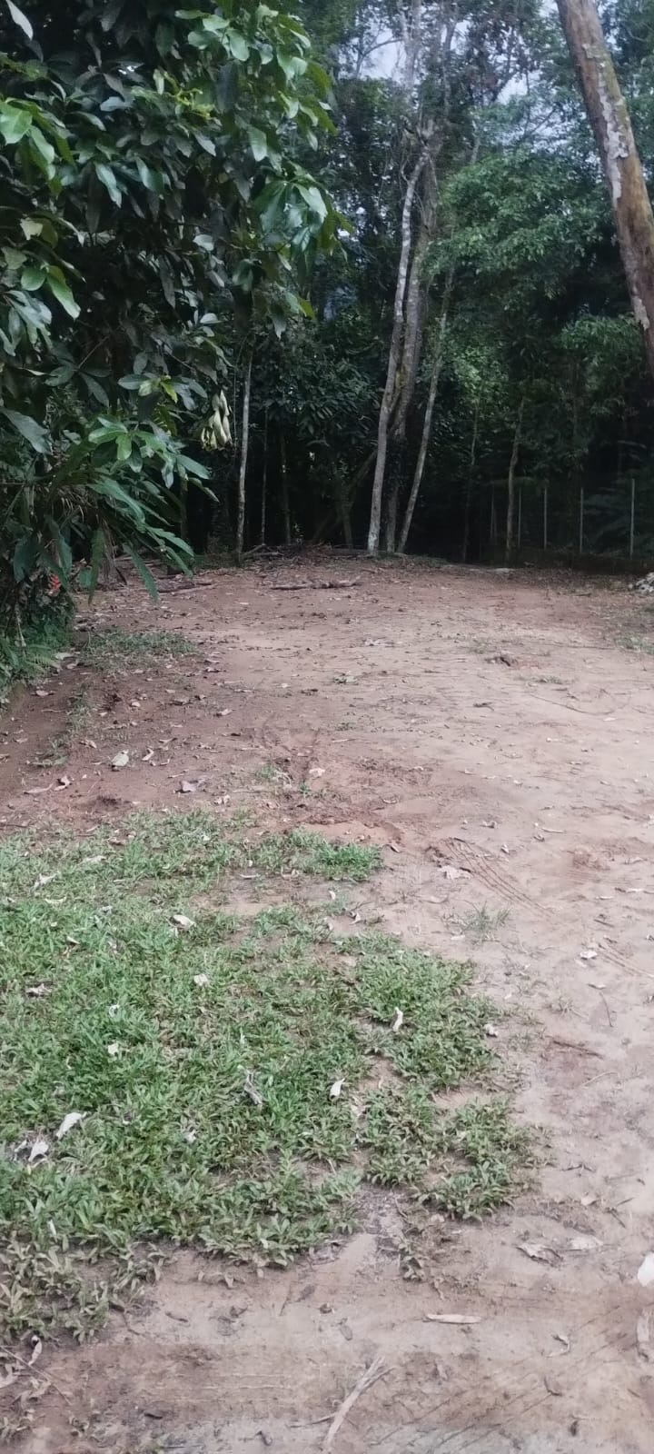 Foto do imóvel: Terreno em Condomínio à Venda, 570 m² em Itamambuca - Ubatuba