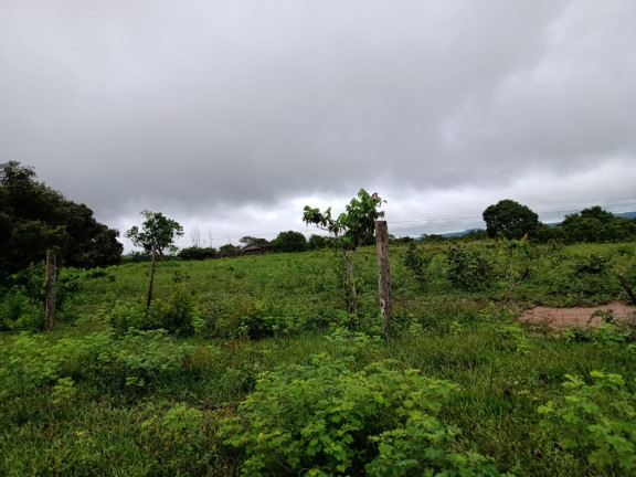 Imagem Fazenda à Venda, 4.870 HA em morumbi - campo grande